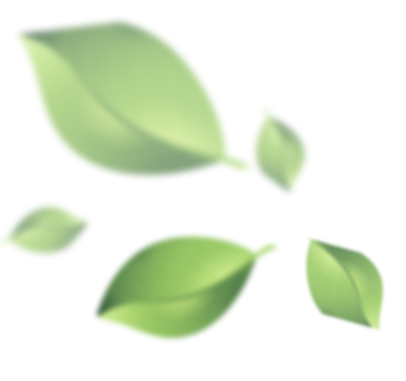 leafs