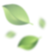 leafs_2